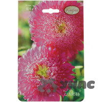 К Астра Адель Каприс