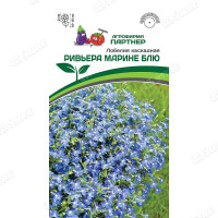 Лобелия Ривьера Марине Блю каскадная Партнер Ц