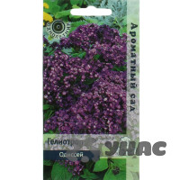 Гелиотроп Одиссей Поиск Ц