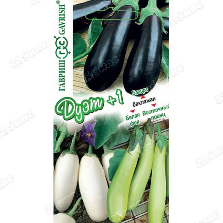 Баклажан Дуэт Багира+ Белая фея+Восточный принц Гавриш Ц