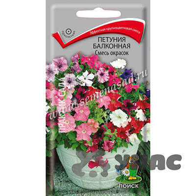 Петуния Балконная смесь окрасок Поиск Ц