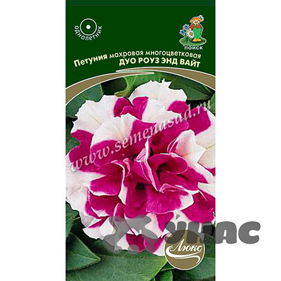 Петуния Дуо Роуз энд Вайт махр. Поиск Ц