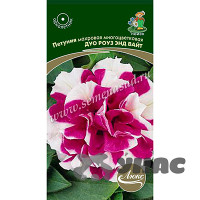 Петуния Дуо Роуз энд Вайт махр. Поиск Ц