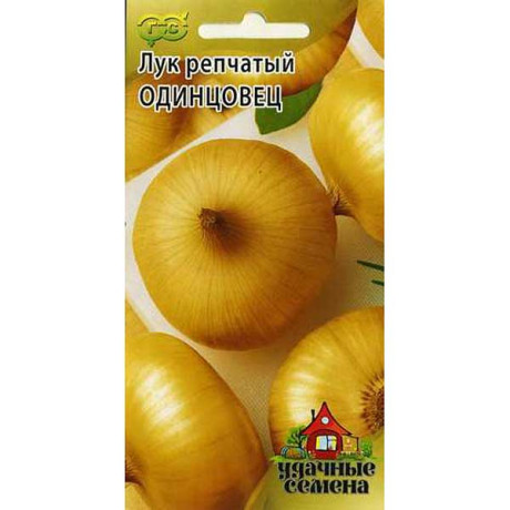 Лук Одинцовец репч. Удачные семена Гавриш Ц