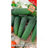 Огурец Аромат Лета Поиск Ц