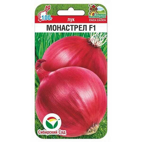Лук Монастрел СибСад Ц