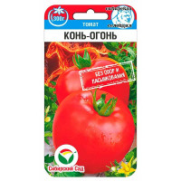 Томат Конь-огонь СибСад