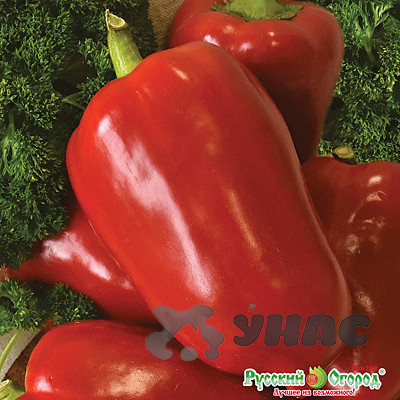 Семена Перец Болгарский деликатесный (Вкуснятина) НК-Русский огород