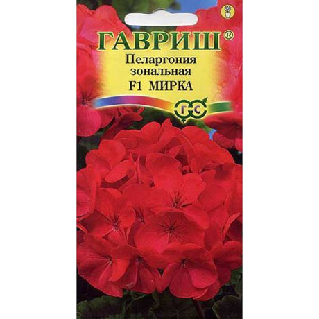 КОМ Пеларгония Мирка Гавриш Ц