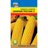 Кукуруза Сахарный тростник Урожай у дачи Ц