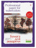 Папка для рисования акварелью А3,20л,блок ГОЗНАК 200гр 4-020 дизайн в ассор 888158