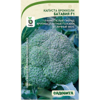 Капуста брокколи Батавия F1 10шт Bejo/Садовита Ц