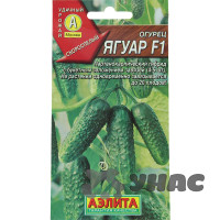 Огурец Ягуар Аэлита Ц