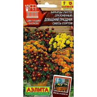 Бархатцы Домашний праздник Аэлита Ц