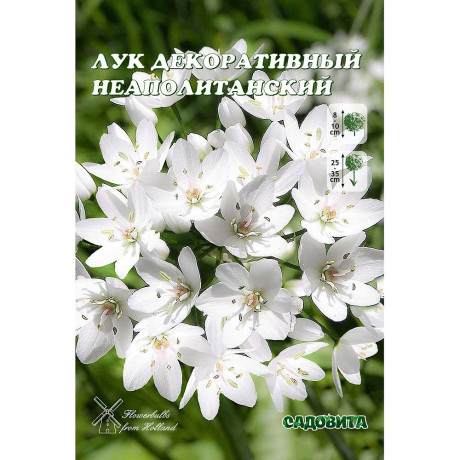 Лук Декор. Неаполитанский 5/+ 15 шт Садовита