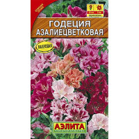 Годеция Азалиецветковая махр. смесь Аэлита Ц