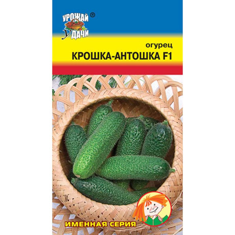 Огурец Крошка-Антошка Урожай у дачи Ц