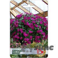 Импатиенс Акробат Виолет Биотехника Ц
