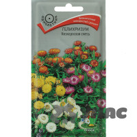 Гелихризиум Низкорослая смесь Поиск Ц