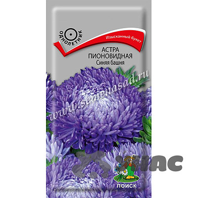 Астра Синяя башня Поиск Ц