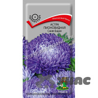 Астра Синяя башня Поиск Ц