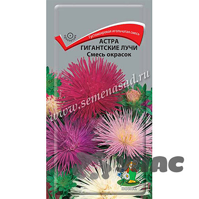 Астра Гигантские лучи смесь Поиск Ц