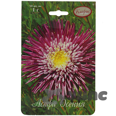 К Астра Осения Каприс