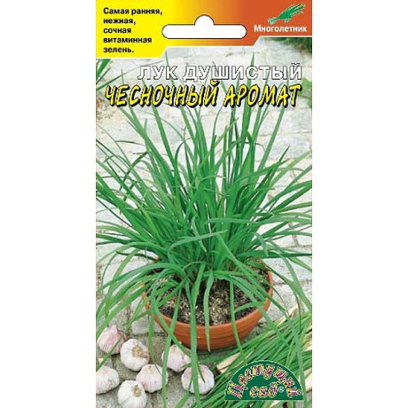 Лук Чесночный аромат ЦветСад Ц