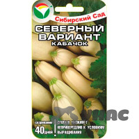 Кабачок Северный вариант СибСад Ц