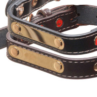 Ошейник 46*2 см полиуритан МИКС NA2619 (480)