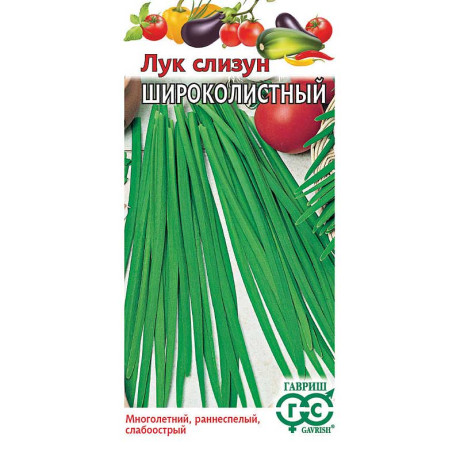 Лук слизун Широколистный Гавриш Ц