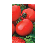 Семена Томат Санька МАРС