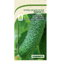 Огурец Кибрия F1 5шт Rijk Zwaan/Садовита Ц