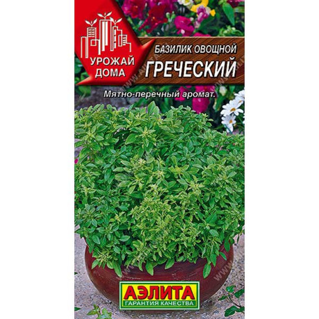 Базилик Греческий Аэлита Ц