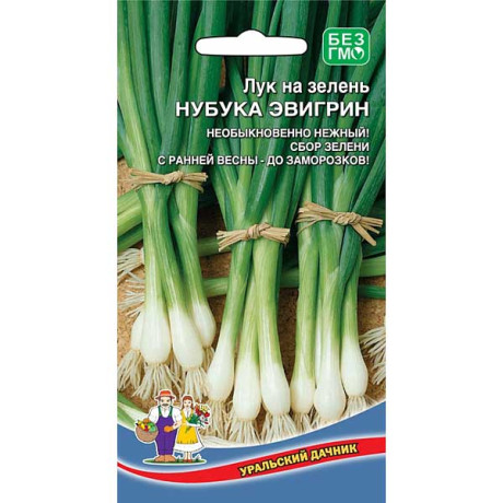 Лук на зелень Нубука Эвергрин Марс Ц