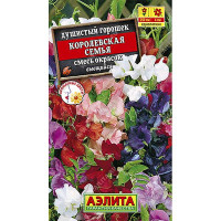 Душистый горошек Королевская семья Аэлита Ц