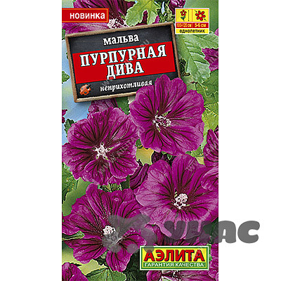 Мальва Пурпурная дива Аэлита Ц