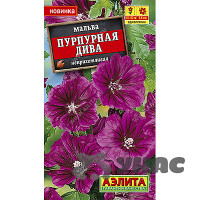 Мальва Пурпурная дива Аэлита Ц