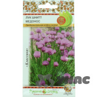 Лук Шнитт Медонос НК Ц
