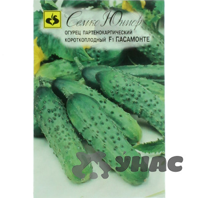 Огурец Пасамонте Семко Ц