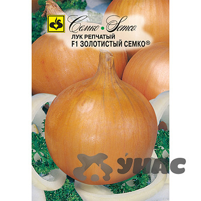 Лук Золотистый Семко Ц