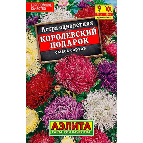 Астра Королевский подарок "Лидер" Аэлита Ц