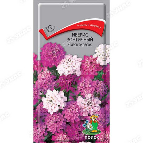 Иберис Смесь окрасок Поиск Ц