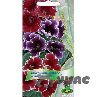 КОМ Глоксиния Импресс Формула микс Поиск Ц