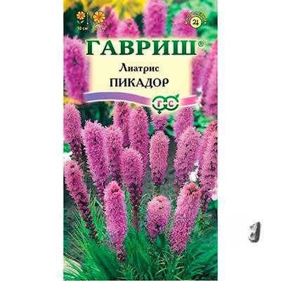Лиатрис Пикадор Гавриш Ц