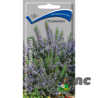 Розмарин Поиск Ц