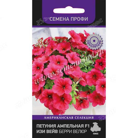 Петуния Изи Вейв Берри Велюр амп. Поиск Ц