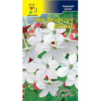 Табак душистый Белый ЦветСад Ц