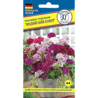 Гвоздика турецкая Индийский ковер Престиж Ц