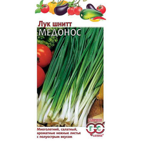 Лук шнитт Медонос Гавриш Ц